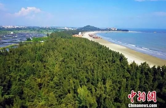 1568599051313389.jpg W020190915632146219867.jpg